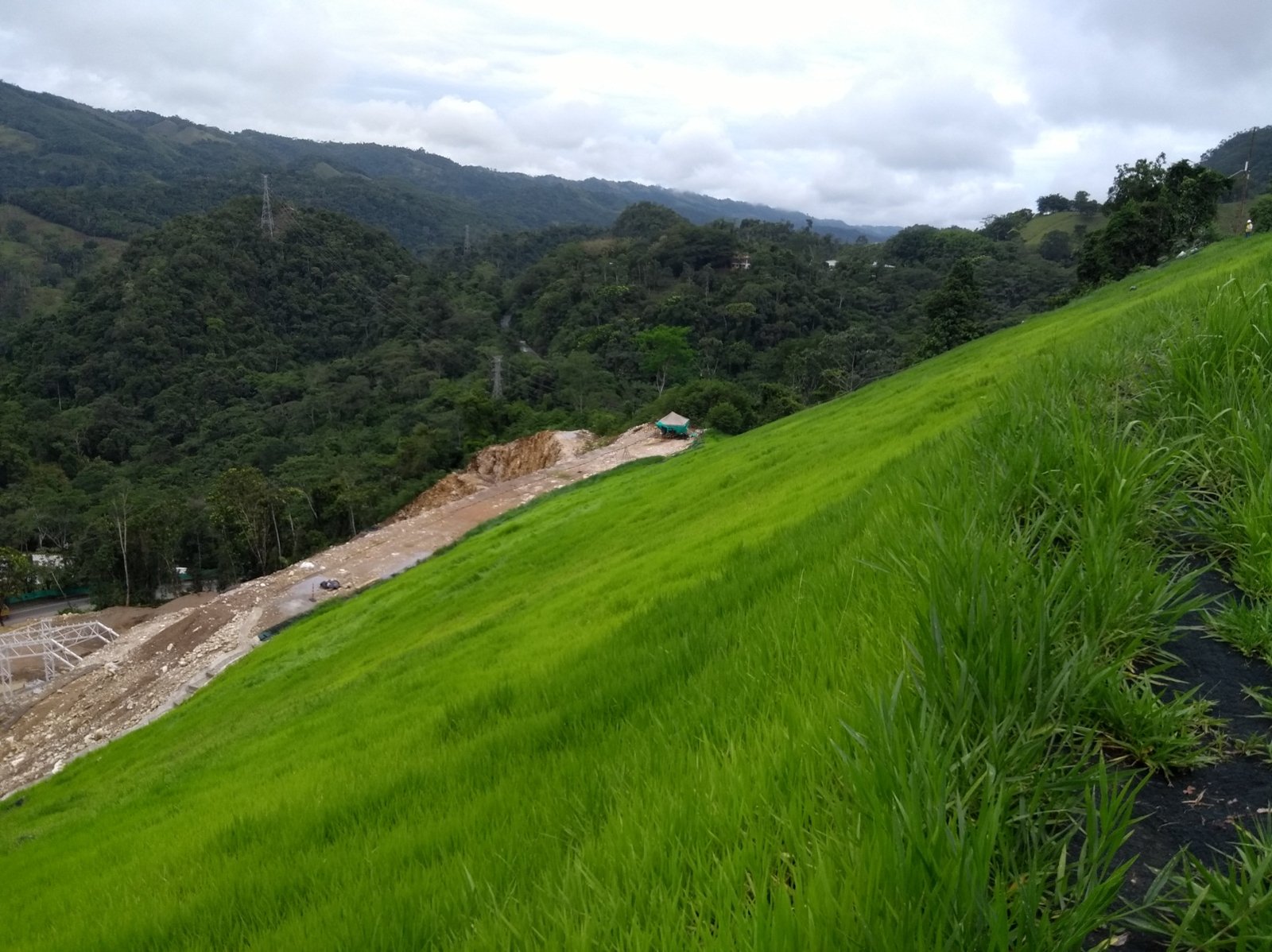 DESPUÉS — Talud recuperado con vegetación, Ruta del Sol